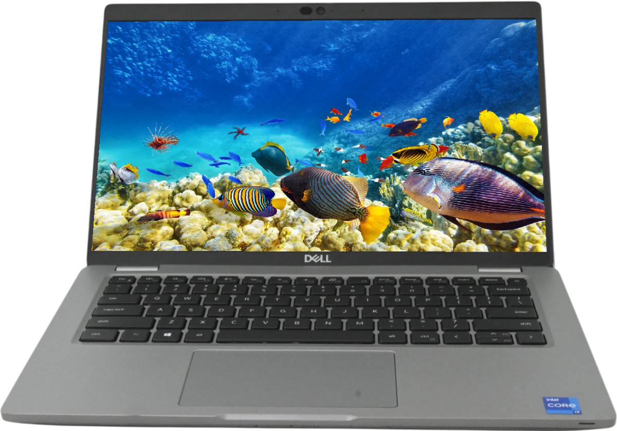 Dell Latitude 5420 14